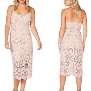 Bardot floral lace tayla pencil midi dress size 4